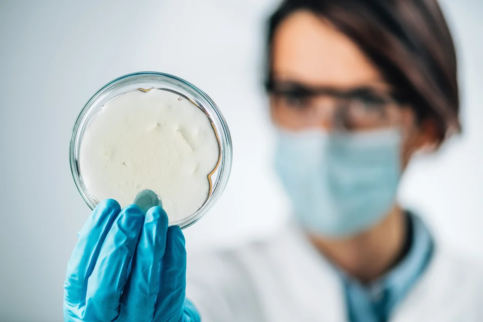Labordiagnostik – Eisenmangel durch Darmprobleme? Ursachen & Hilfe | Juvanity