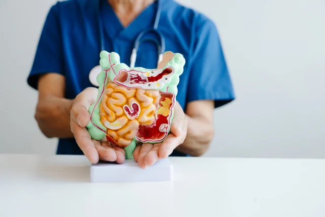 Darmgesundheit – Reizdarm oder organische Erkrankung? Diese Warnzeichen sollten abgeklärt werden