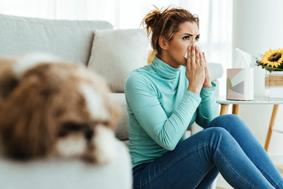 Hausstaubmilben-Allergie: Symptome erkennen und Allergenbelastung senken