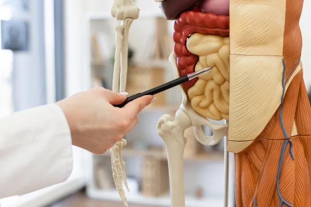 Infusionen Mannheim: Vitalstofftherapie in Lampertheim
