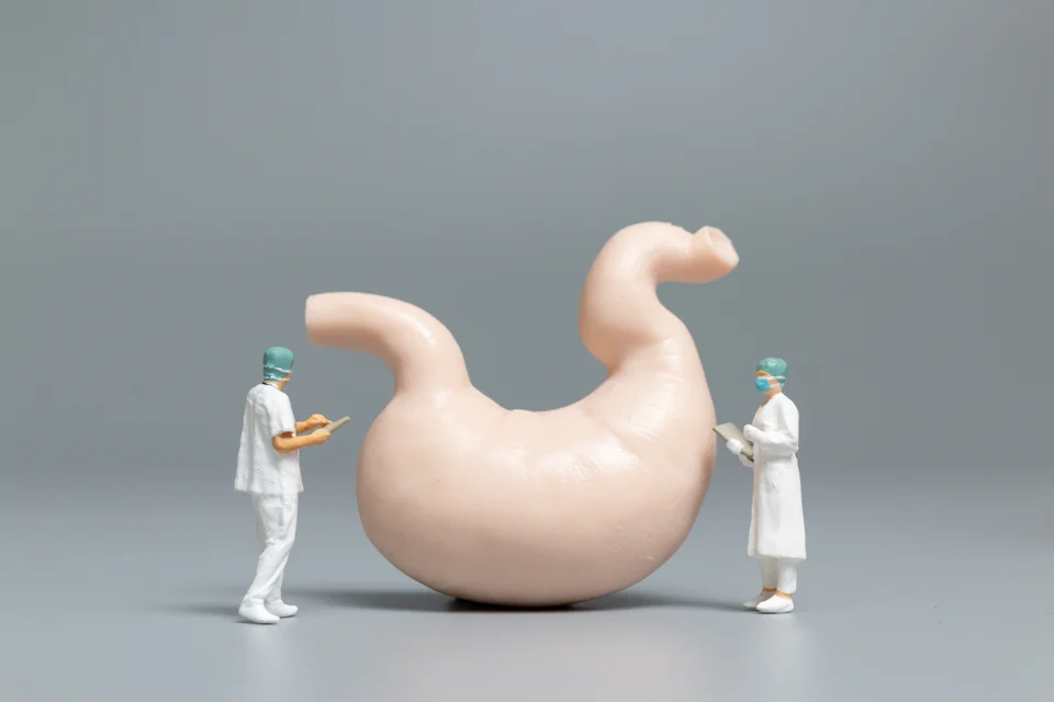 Leaky Gut Biblis – Ursachen, Symptome und Hilfe vom Heilpraktiker