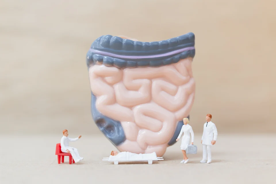 Leaky Gut Gernsheim – Ursachen, Symptome und Hilfe vom Heilpraktiker