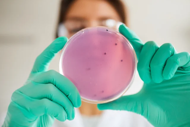 Labordiagnostik – Vitamin D: Knochen, Immunsystem und realistische Erwartungen