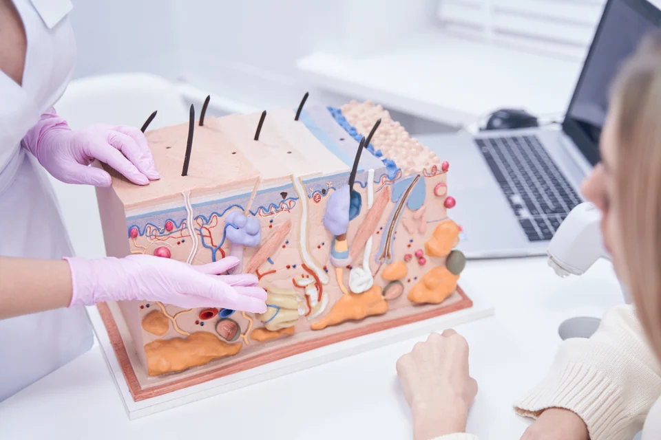 Ärztin erklärt einen Befund – Symbolbild für die Zusammenarbeit mit Hausarzt und Facharzt aus Heppenheim