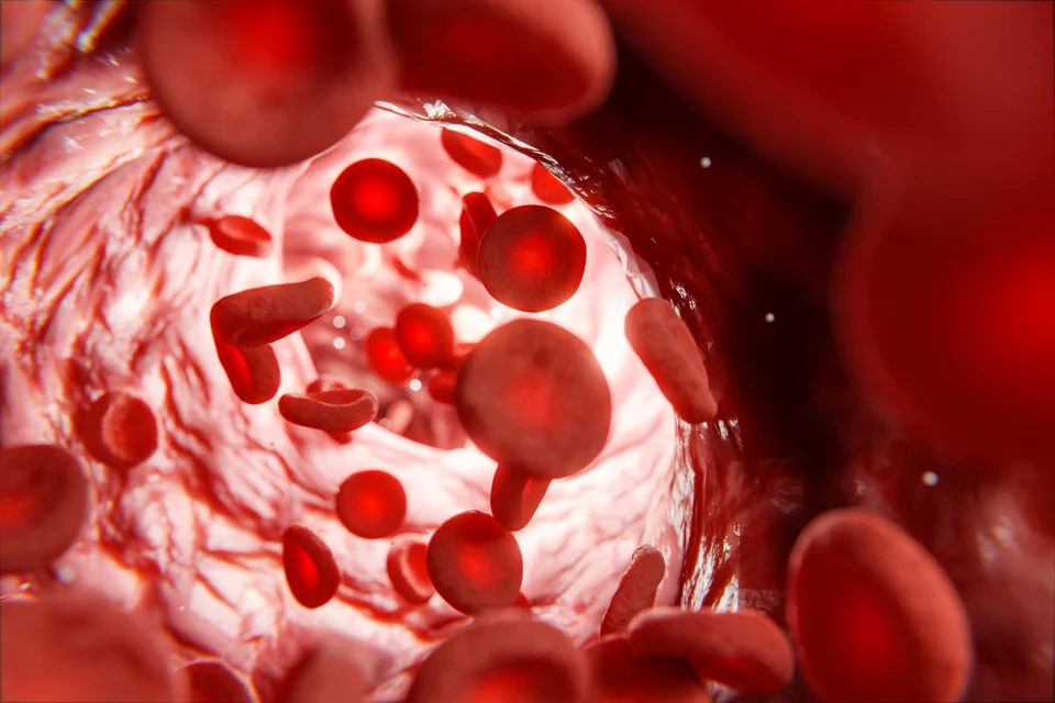 Labordiagnostik – Vitamin-B12-Mangel: Symptome früh erkennen